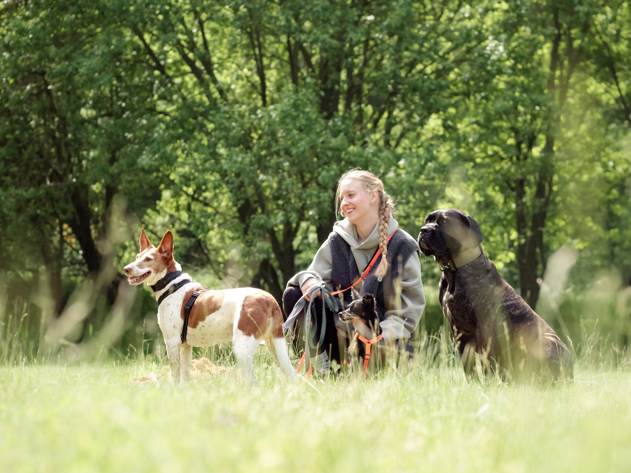 Gruppenstunde: Trainerin Sally Braun mit mehreren Mensch-Hund-Teams beim Training im Freien